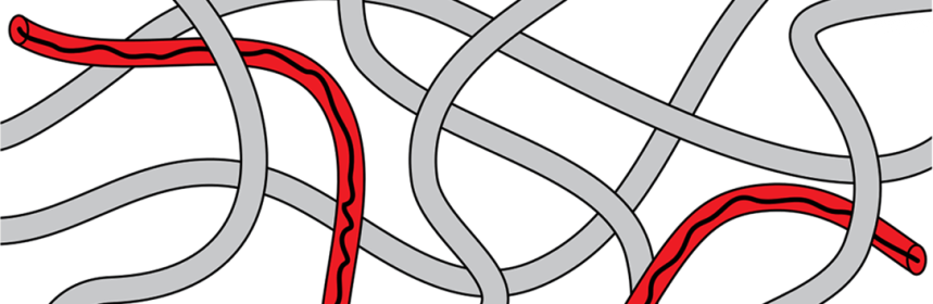 Illustration of the reptation model from chemistry