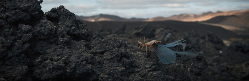 Screencap of Discovery Season 3, Episode 1, showing the kind of space bugs.