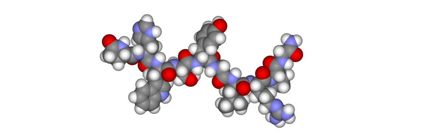 Space-filling model of gonadotropin-releasing hormone.
