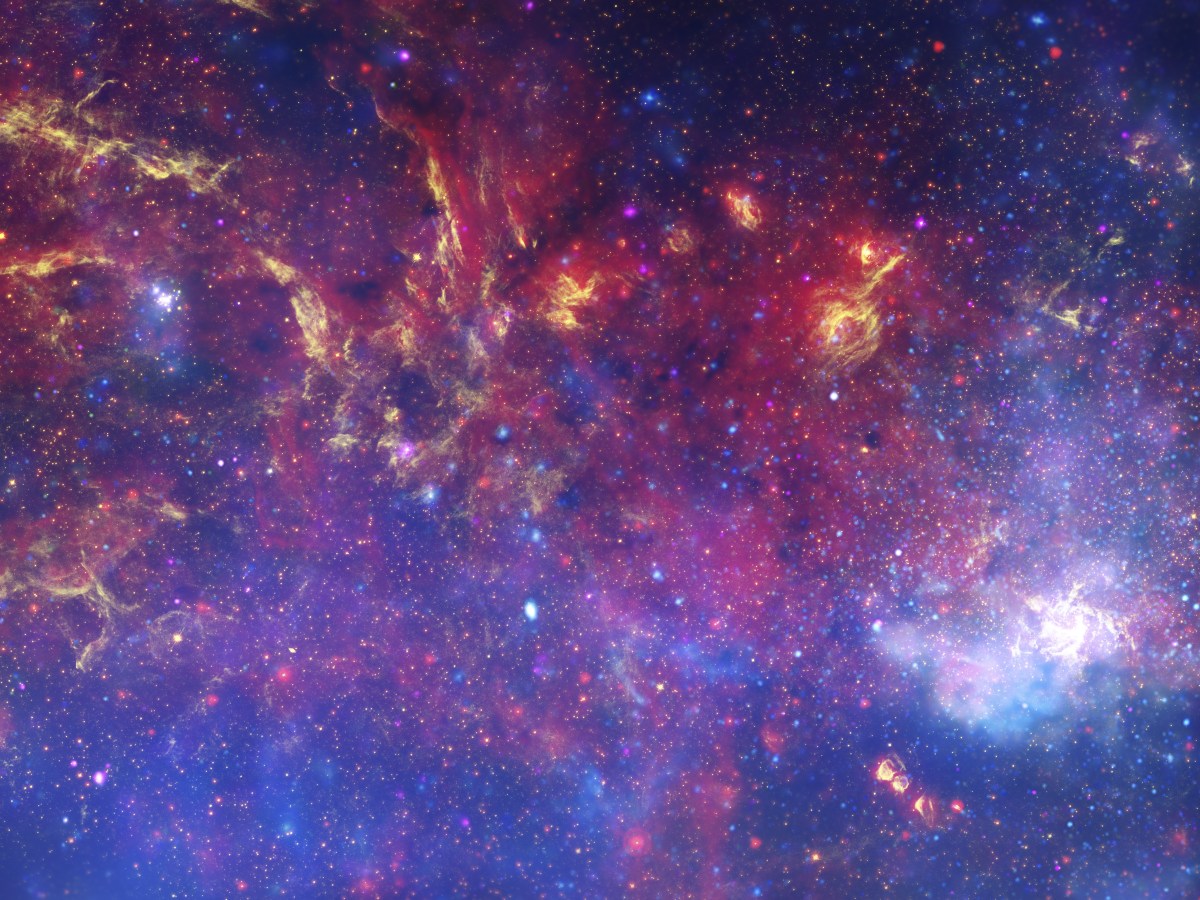 Episode 57: Rose Eveleth on the future, Flash Forward, whether you are your brain, and whether to put that brain in a&nbsp;robot