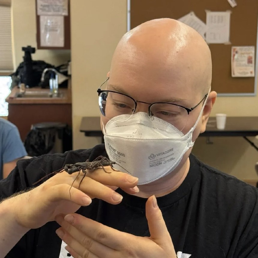 Photograph of a bald white man wearing glasses and an N95, looking down at a vinegaroon (a large arachnid) on his hand. 